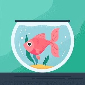 Meet your Posher, Jacqueline s.